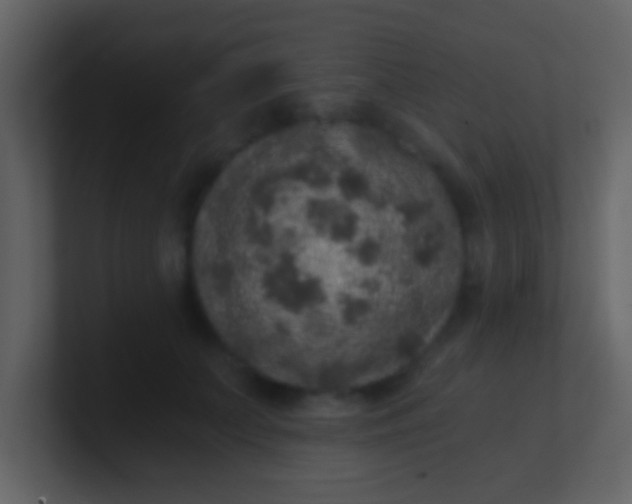 X0000100900703200807081103