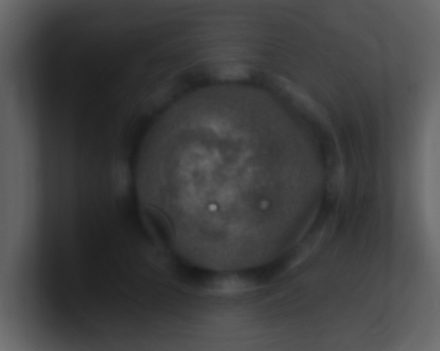 X0000100900704200807081103