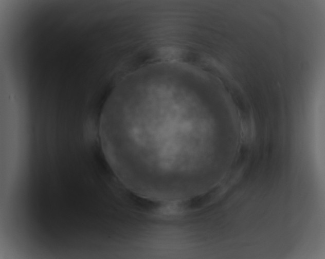 X0000100900705200807081103