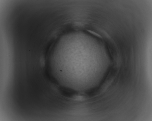 X0000100900706200807081103