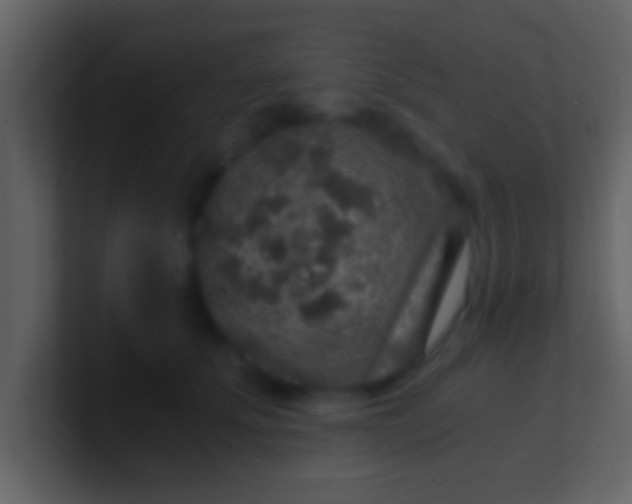 X0000100900707200807081103