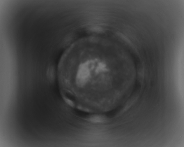 X0000100900708200807081103