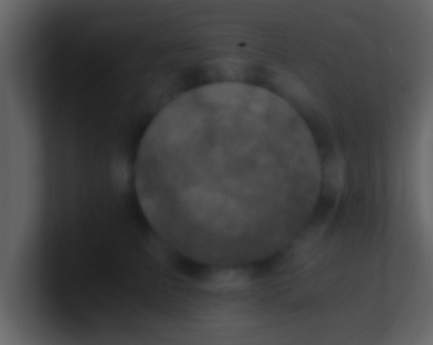 X0000100900709200807081103