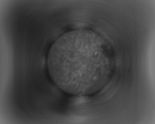 X0000100900711200807081103