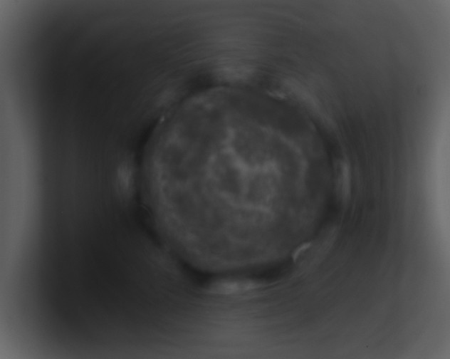 X0000100900712200807081103