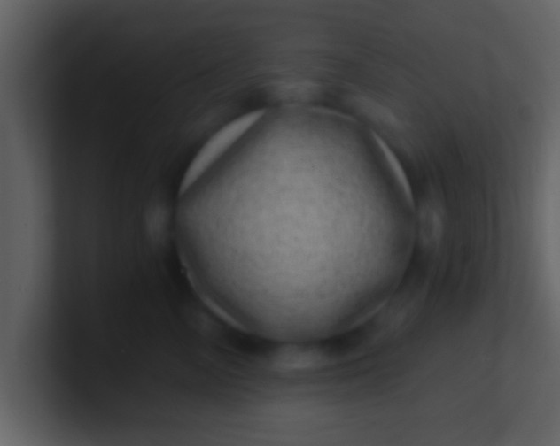 X0000100900714200807081103