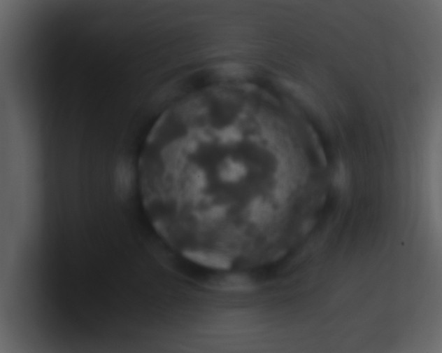 X0000100900715200807081103