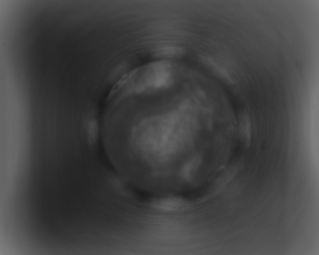 X0000100900716200807081103