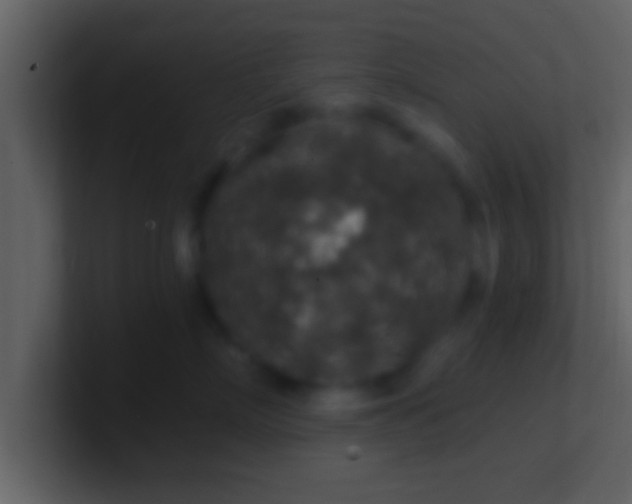 X0000100900718200807081102