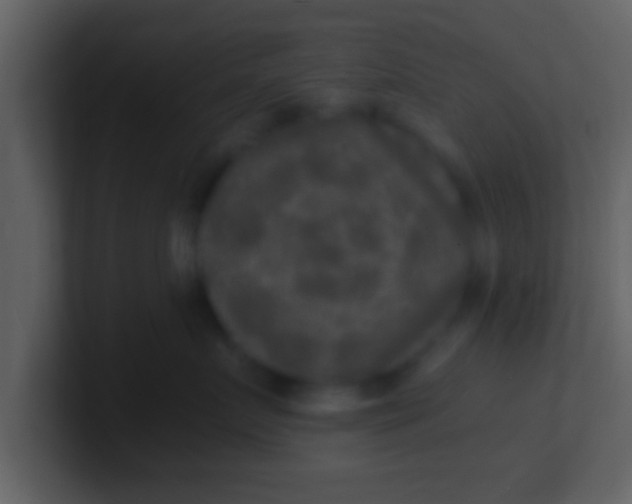 X0000100900719200807081102