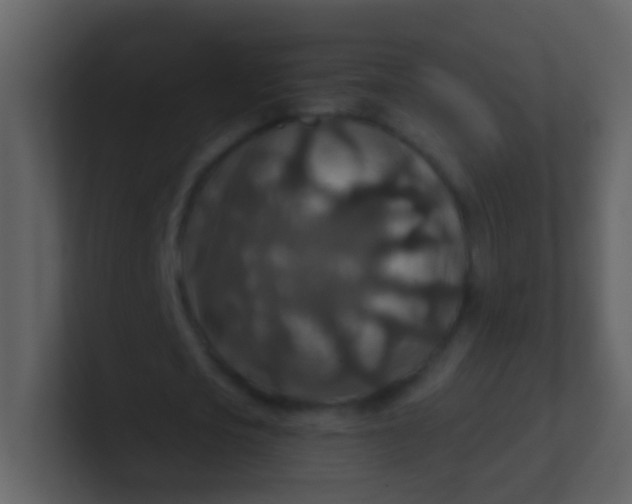 X0000100900721200807081102