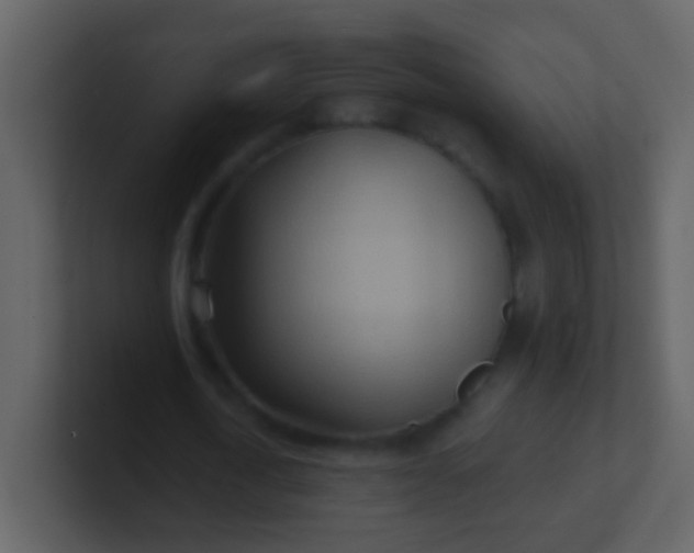 X0000100900722200807081102