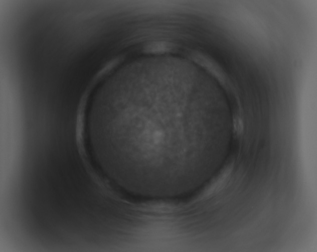 X0000100900724200807081102