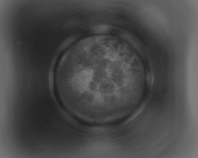 X0000100900725200807081102