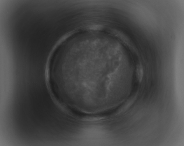 X0000100900726200807081102