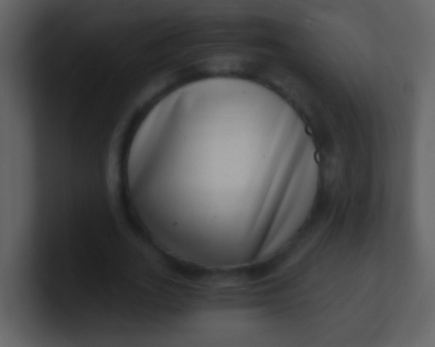 X0000100900727200807081102