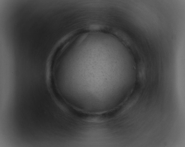 X0000100900728200807081102