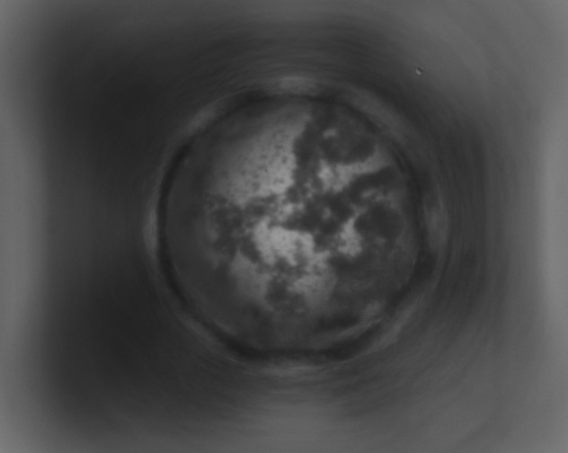 X0000100900729200807081102