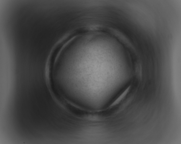 X0000100900730200807081102