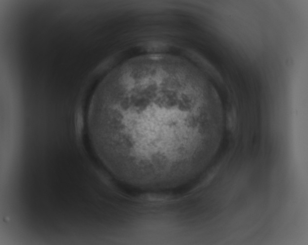 X0000100900733200807081102