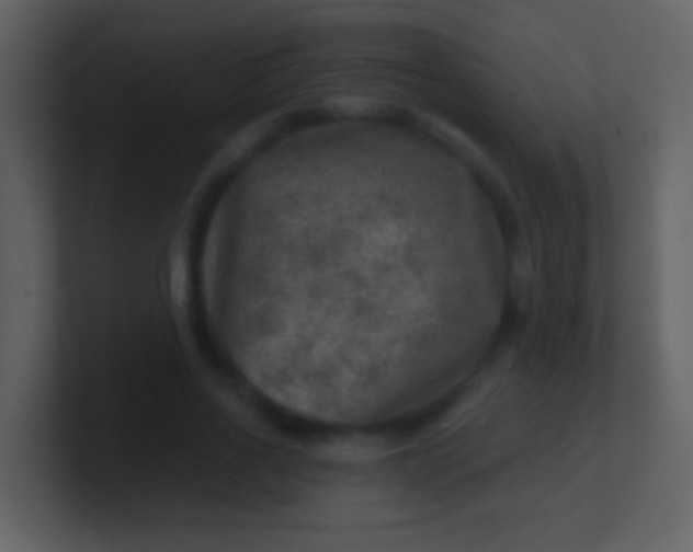 X0000100900734200807081102