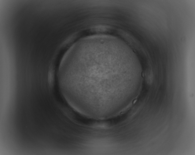 X0000100900735200807081102