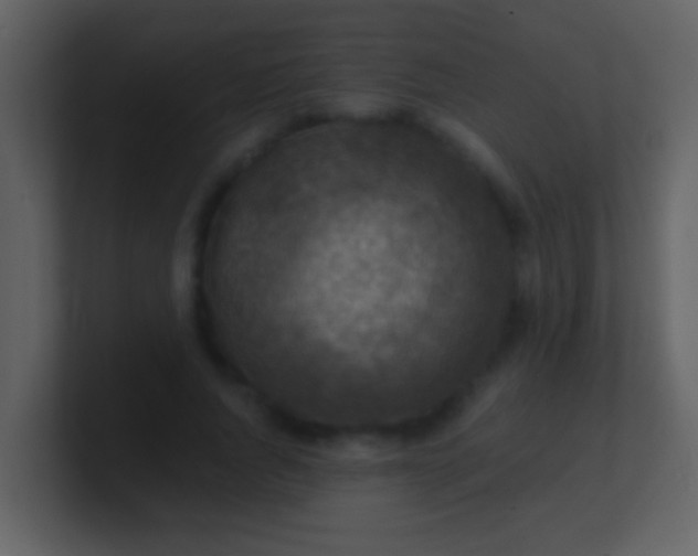 X0000100900736200807081102