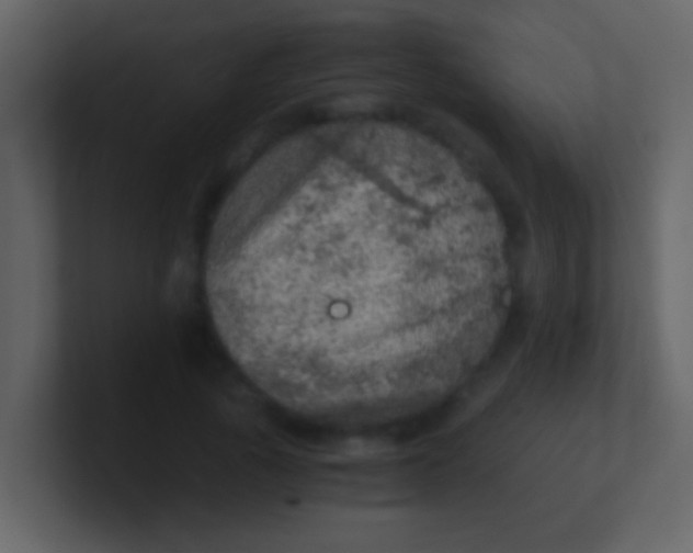 X0000100900737200807081102