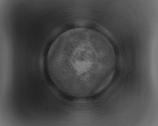 X0000100900738200807081102