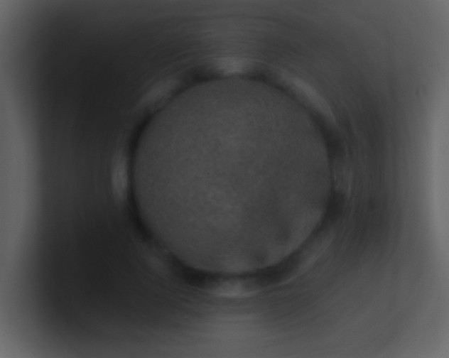 X0000100900740200807081102