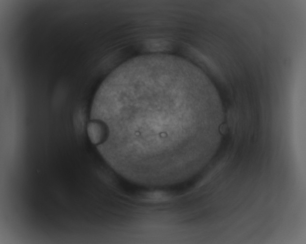 X0000100900741200807081102