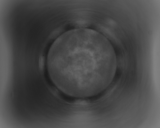 X0000100900742200807081102