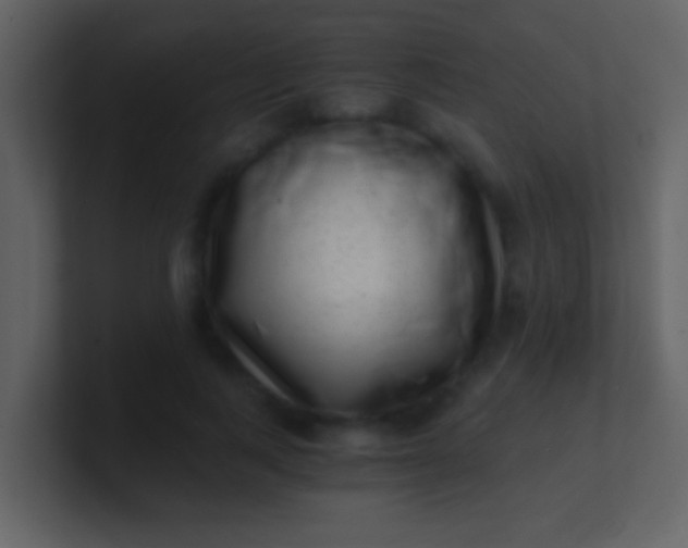 X0000100900743200807081102