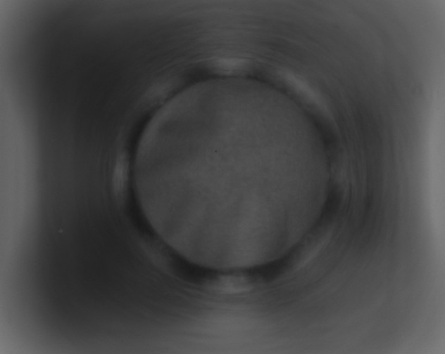 X0000100900744200807081102