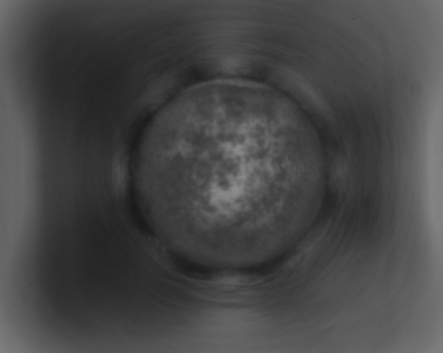 X0000100900746200807081102