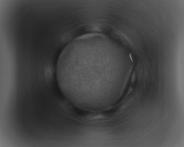 X0000100900747200807081102