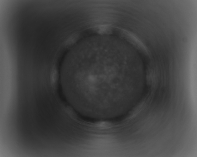 X0000100900748200807081102