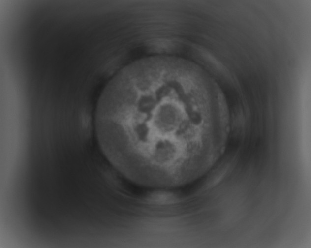 X0000100900749200807081102