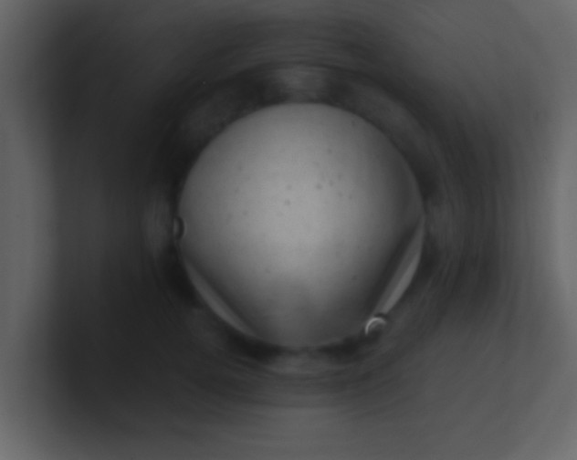 X0000100900752200807081102