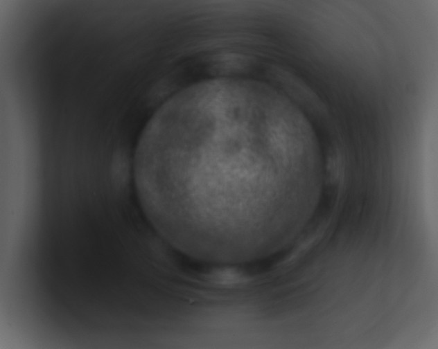 X0000100900753200807081102