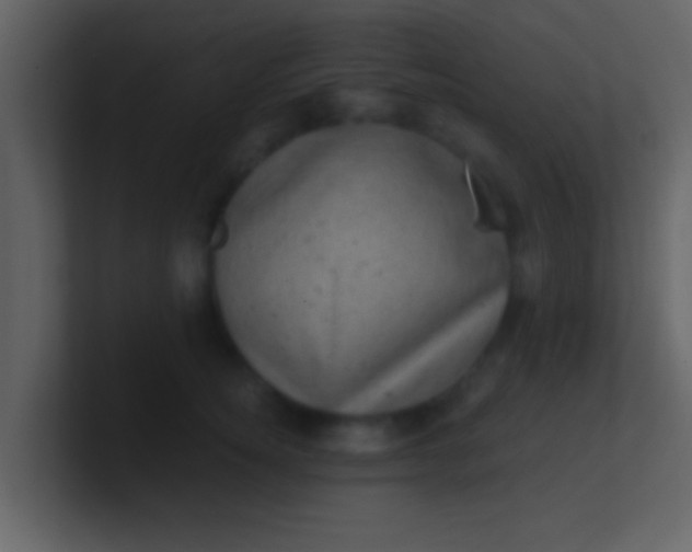 X0000100900756200807081102