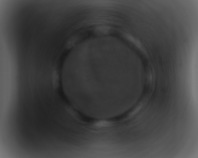 X0000100900759200807081102