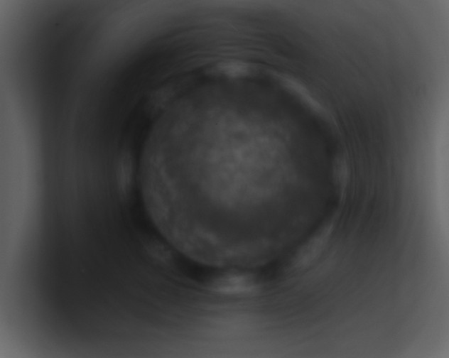 X0000100900760200807081102