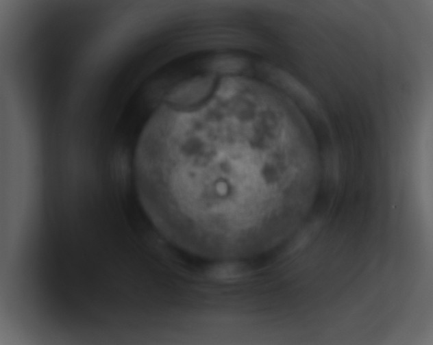 X0000100900761200807081102