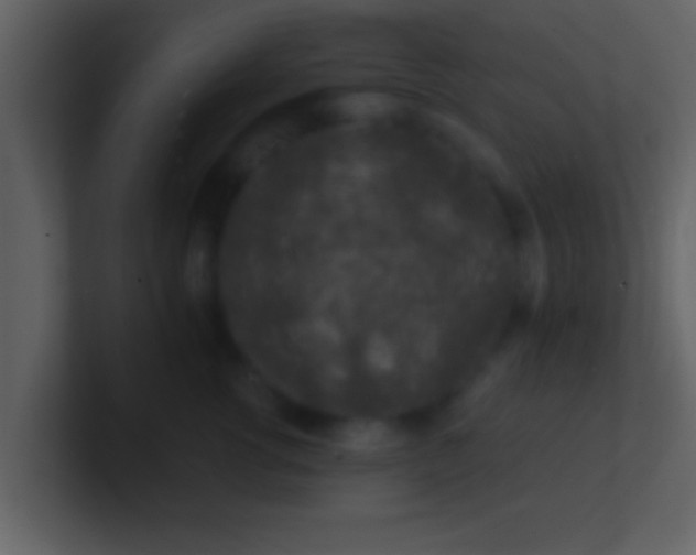 X0000100900762200807081102