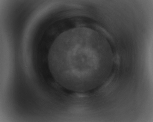 X0000100900763200807081102