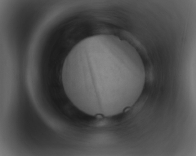 X0000100900764200807081102