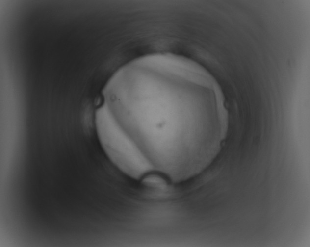 X0000100900768200807081102