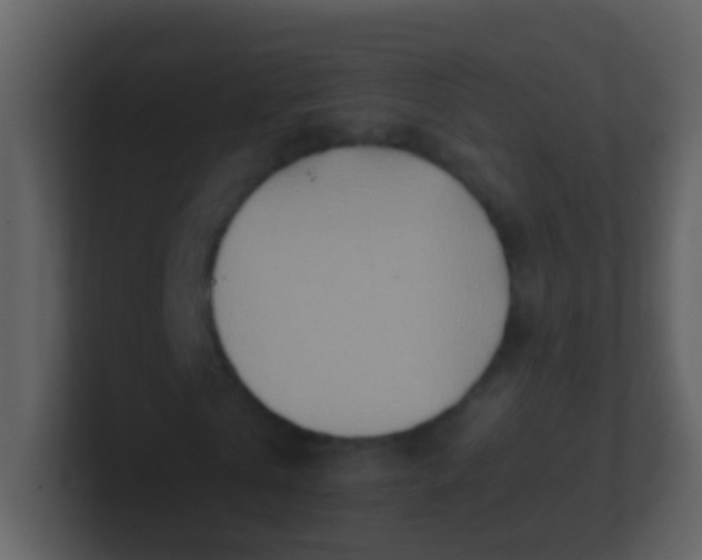 X0000100900769200807081102