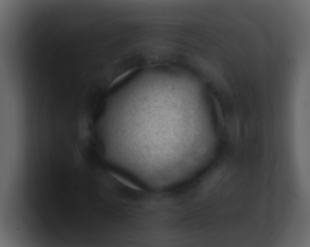 X0000100900770200807081102